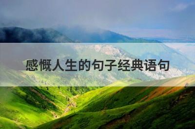 感慨人生的句子经典语句