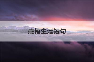 感悟生活短句