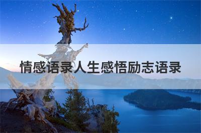 情感语录人生感悟励志语录