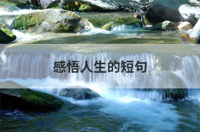 感悟人生的短句