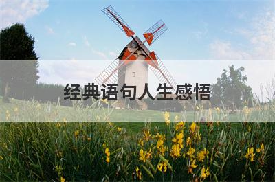 经典语句人生感悟
