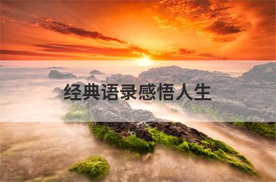 经典语录感悟人生