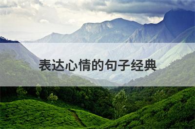 表达心情的句子经典