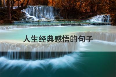 人生经典感悟的句子