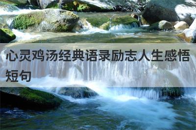 心灵鸡汤经典语录励志人生感悟
短句
