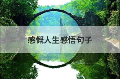 感慨人生感悟句子