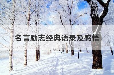 名言励志经典语录及感悟