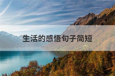 生活的感悟句子简短