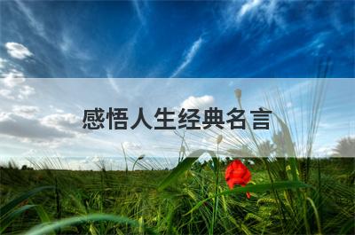 感悟人生经典名言