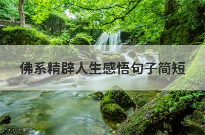 佛系精辟人生感悟句子简短