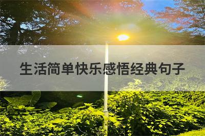 生活简单快乐感悟经典句子
