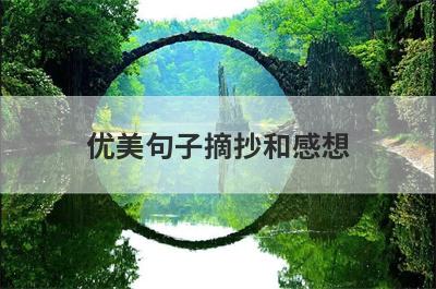 优美句子摘抄和感想