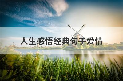 人生感悟经典句子爱情