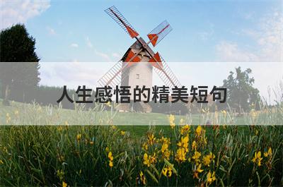 人生感悟的精美短句