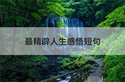 最精辟人生感悟短句