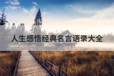 人生感悟经典名言语录大全