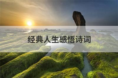 经典人生感悟诗词