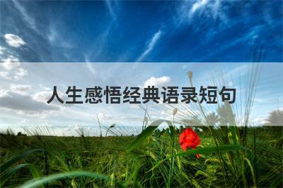 人生感悟经典语录短句