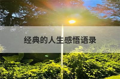 经典的人生感悟语录