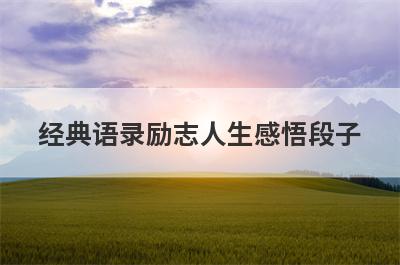 经典语录励志人生感悟段子