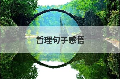 哲理句子感悟