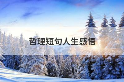 哲理短句人生感悟
