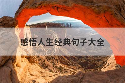 感悟人生经典句子大全