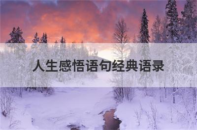 人生感悟语句经典语录