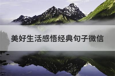 美好生活感悟经典句子微信
