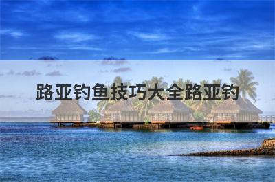 路亚钓鱼技巧大全路亚钓