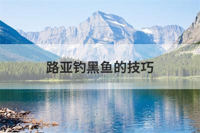 路亚钓黑鱼的技巧