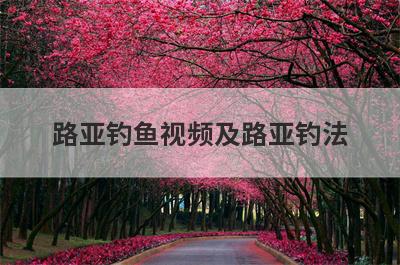路亚钓鱼视频及路亚钓法