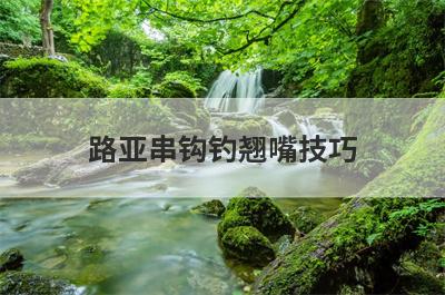 路亚串钩钓翘嘴技巧