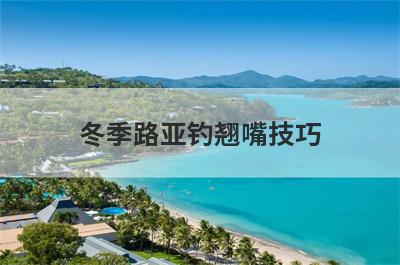 冬季路亚钓翘嘴技巧