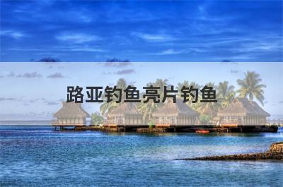路亚钓鱼亮片钓鱼