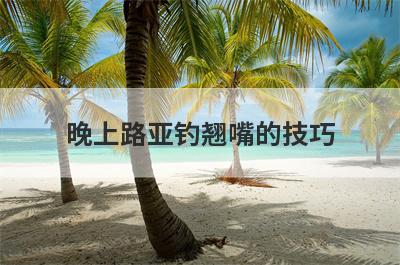 晚上路亚钓翘嘴的技巧