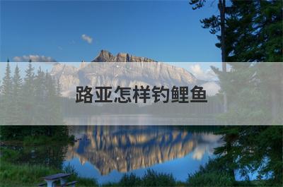 路亚怎样钓鲤鱼