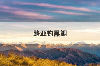 路亚钓黑鲷
