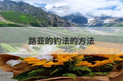 路亚的钓法的方法