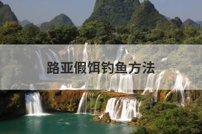 路亚假饵钓鱼方法