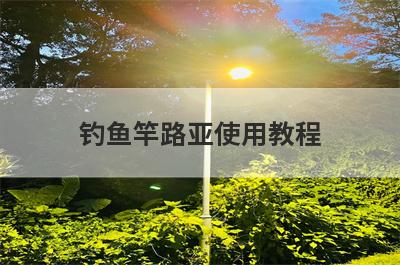 钓鱼竿路亚使用教程