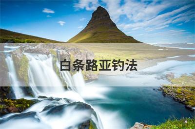 白条路亚钓法
