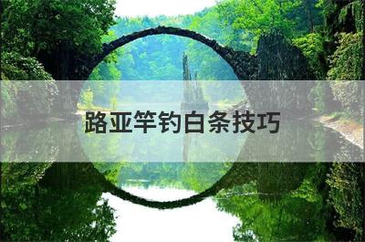 路亚竿钓白条技巧