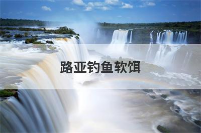 路亚钓鱼软饵