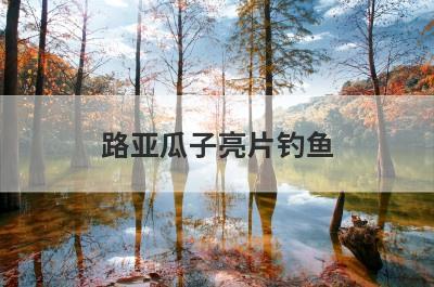 路亚瓜子亮片钓鱼