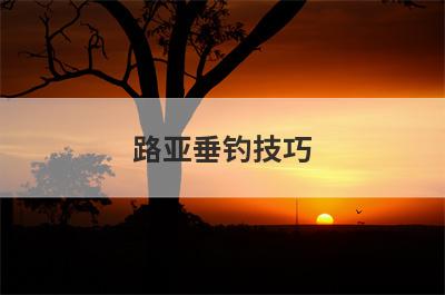 路亚垂钓技巧