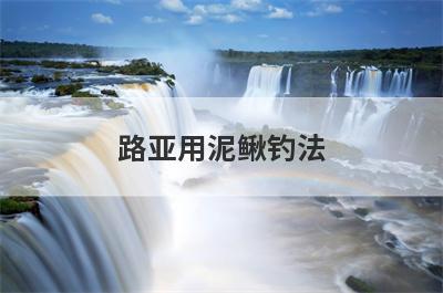 路亚用泥鳅钓法