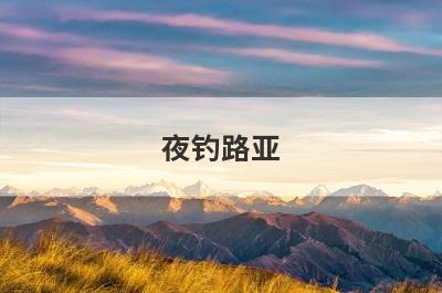 夜钓路亚