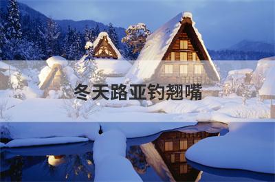 冬天路亚钓翘嘴