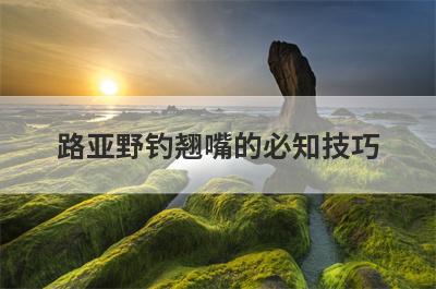 路亚野钓翘嘴的必知技巧